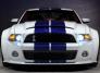 Shelby GT500 Galpin
