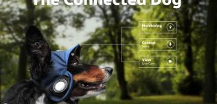 Connected Dog
