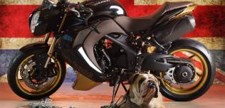Triumph Speed Triple Vilner Bulldog