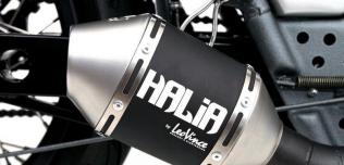 AFT Halia Custom Bike