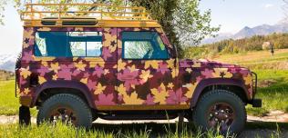 Land Rover Defender liście winorośli